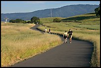 People jogging on trail in the foothills. Stanford University, California, USA