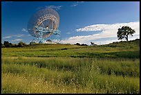 150 ft parabolic antenna known as the Dish, and tree. Stanford University, California, USA (color)