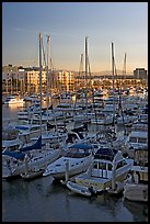 Yachts and marina at sunrise. Marina Del Rey, Los Angeles, California, USA ( color)