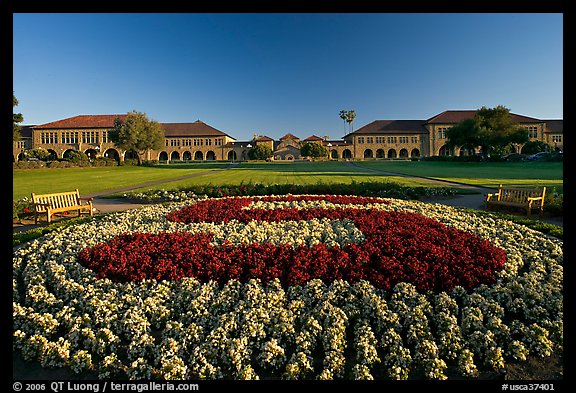 Stanford University S logo in flowers and main Quad. Stanford University, California, USA (color)