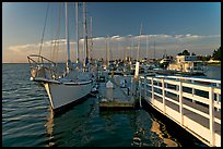 Yachts in Port of Redwood, late afternoon. Redwood City,  California, USA (color)
