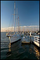 Yacht in Port of Redwood, late afternoon. Redwood City,  California, USA ( color)