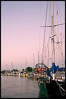 Yachts, sunset. Redwood City,  California, USA ( color)