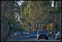 El Camino Real bordered by Eucalyptus trees. Burlingame,  California, USA ( color)