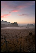 Pasture with fog at sunset. San Mateo County, California, USA ( color)