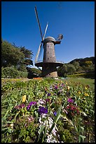 Spring flowers and old windmill, Golden Gate Park. San Francisco, California, USA (color)