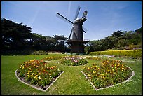 Spring flowers and old Dutch windmill, Golden Gate Park. San Francisco, California, USA (color)