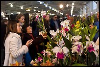 Women look at orchids during festival, Mason Center. San Francisco, California, USA (color)