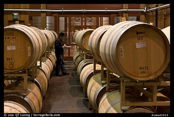 Winemaker checking barrels of wine being aged. Napa Valley, California, USA