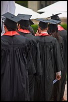Graduates with robes and square caps seen from behind. Stanford University, California, USA ( color)