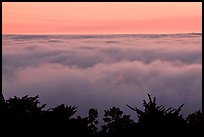 Sea of clouds at sunset. Oakland, California, USA ( color)