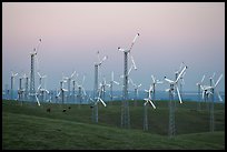Altamont wind farm at dusk. California, USA ( color)