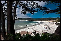 Carmel Beach framed by Monterey Cypress. Carmel-by-the-Sea, California, USA (color)