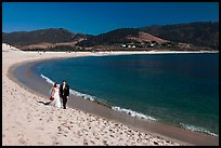 Groom and bride, Carmel River Beach. Carmel-by-the-Sea, California, USA ( color)