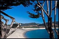 Carmel River Beach framed by Cypress trees. Carmel-by-the-Sea, California, USA ( color)
