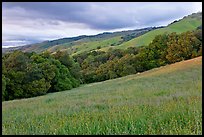 Hills in spring, Evergreen. San Jose, California, USA ( color)
