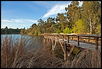 Pier and lake,  Vasona Lake County Park, Los Gatos. California, USA ( color)