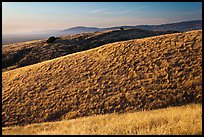 Hills, Santa Teresa County Park. California, USA ( color)