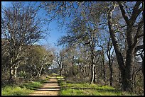 Trail, Almaden Quicksilver Park. San Jose, California, USA ( color)