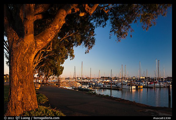 Marina at sunset, Vallejo. San Pablo Bay, California, USA (color)