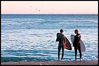 Surfers holding boards, open ocean, and birds. Santa Cruz, California, USA (color)