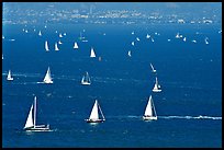 Sailboats in the Bay, seen from Marin. California, USA ( color)