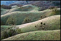 Ridges, Joseph Grant County Park. San Jose, California, USA (color)