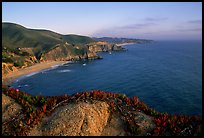 Coastline near Devil's slide, sunset. San Mateo County, California, USA ( color)