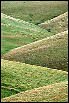 Ridges, Southern Sierra Foothills. California, USA (color)