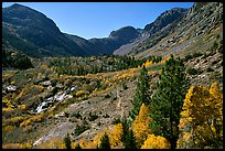 Valley in autumn, Lundy Canyon, Inyo National Forest. California, USA ( color)