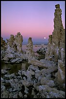 Tufa towers and moon, dusk. Mono Lake, California, USA ( color)