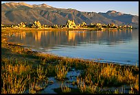 Grasses, tufa, and mountains, early morning. Mono Lake, California, USA ( color)