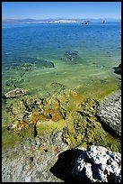Colorful shores, mid-day. Mono Lake, California, USA