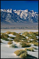 Sierra Nevada Range rising abruptly above Owens Valley. California, USA (color)
