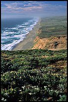 Point Reyes Beach, afternoon. Point Reyes National Seashore, California, USA (color)