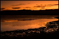 Bolinas Lagoon, sunset. California, USA ( color)