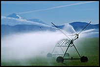 Irrigation machine and Mt Shasta. California, USA (color)