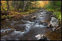Stream in autumn near Elephant Mountain. Maine, USA