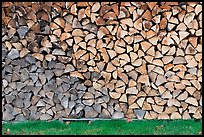 Wall of firewood, Millinocket. Maine, USA (color)