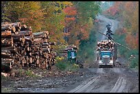 Log truck loaded on forestry road. Maine, USA ( color)