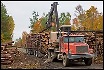 Logging truck loaded by log loader truck. Maine, USA ( color)