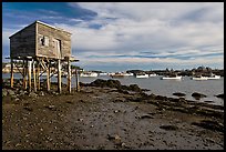 Tidal flats and harbor. Corea, Maine, USA ( color)