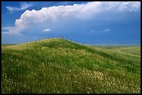 Grassy hills. North Dakota, USA (color)