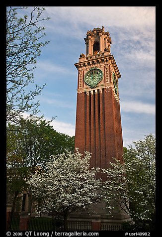 Trees in bloom and Carrie Tower, Brown University. Providence, Rhode Island, USA (color)
