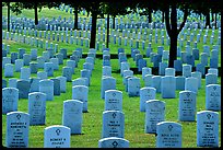 Rows of gravestones, Black Hills National Cemetery. Black Hills, South Dakota, USA (color)