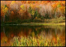 Hill in fall colors reflected in a pond. Vermont, New England, USA