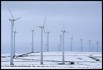 Electricity-generating windmills. Oregon, USA ( color)