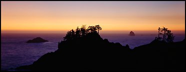 Sunset seascape beyond ridge of trees. Oregon, USA