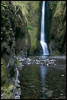 Oneonta Falls at the end of Oneonta Gorge. Columbia River Gorge, Oregon, USA (color)