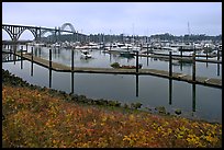 Newport harbor. Newport, Oregon, USA ( color)